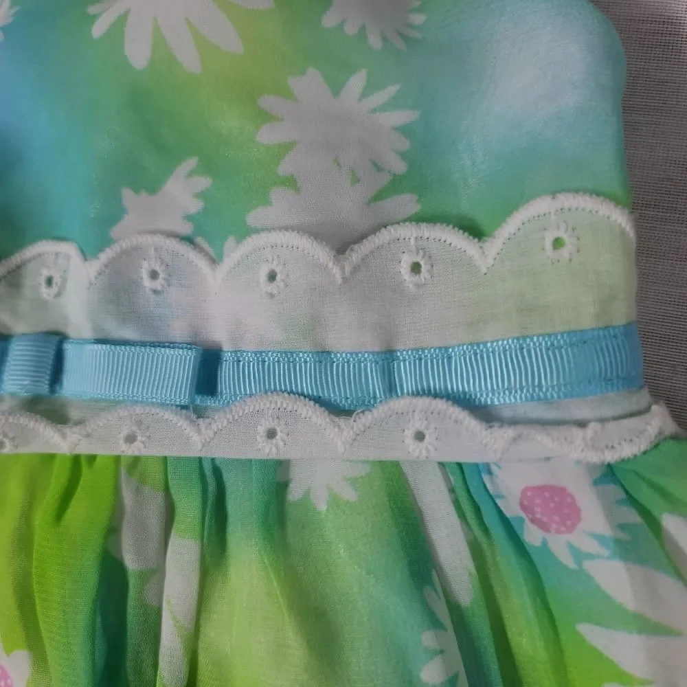 Youngland Floral Print Eyelet Dress 24 Months